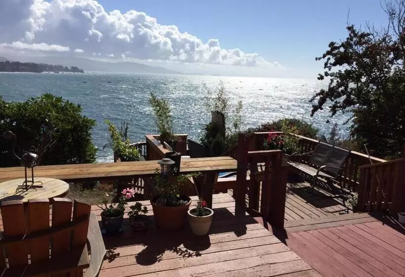 Mermaid S Muse Bed And Breakfast