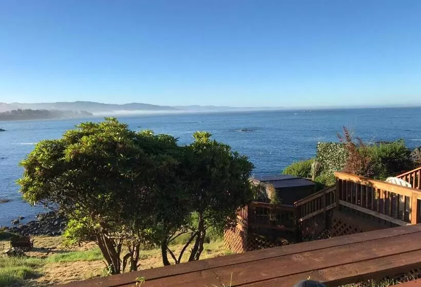 Mermaid S Muse Bed And Breakfast