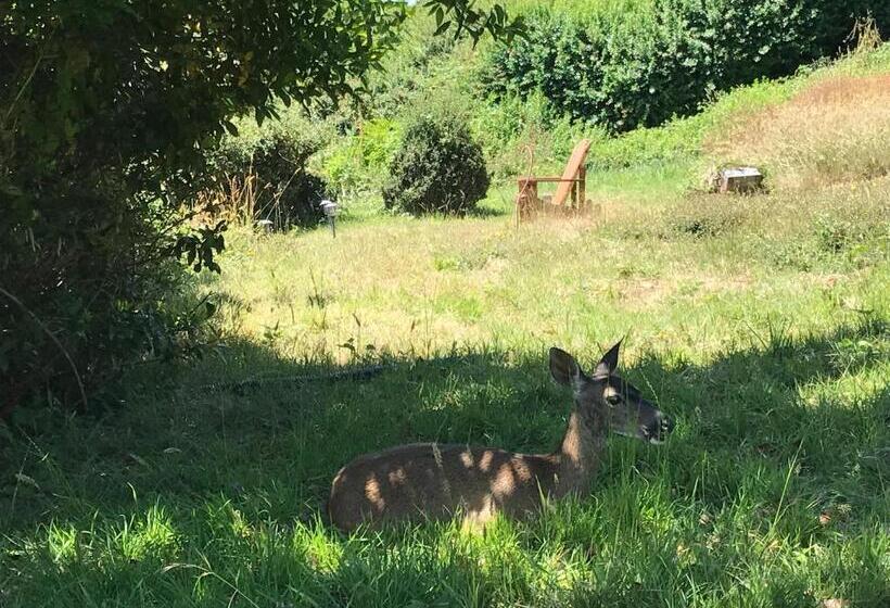 Mermaid S Muse Bed And Breakfast