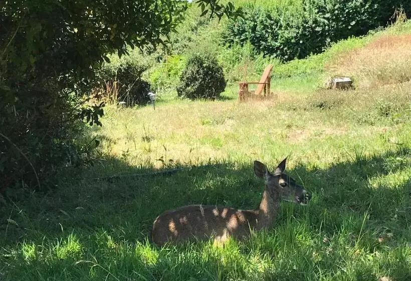 Mermaid S Muse Bed And Breakfast