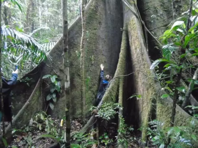 Majatalo Misahualli Laguna Paikawe B&b