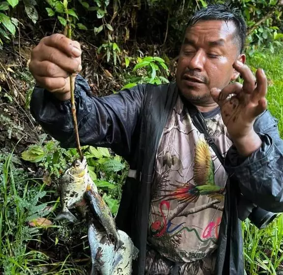 Majatalo Misahualli Laguna Paikawe B&b