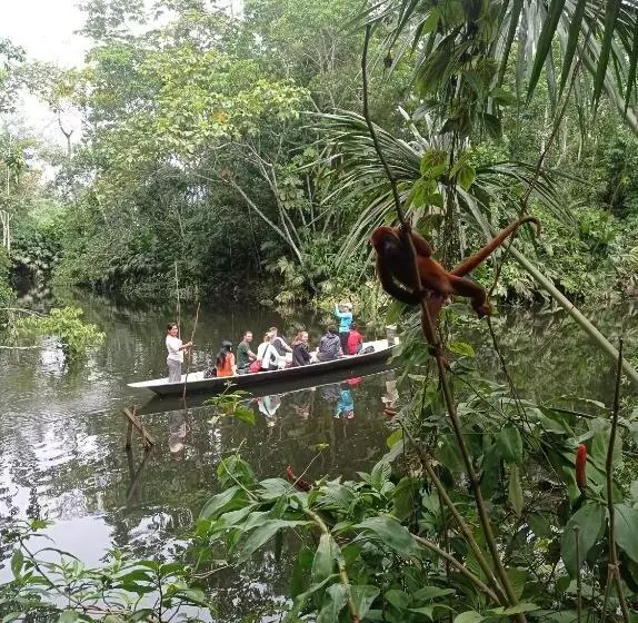 Majatalo Misahualli Laguna Paikawe B&b