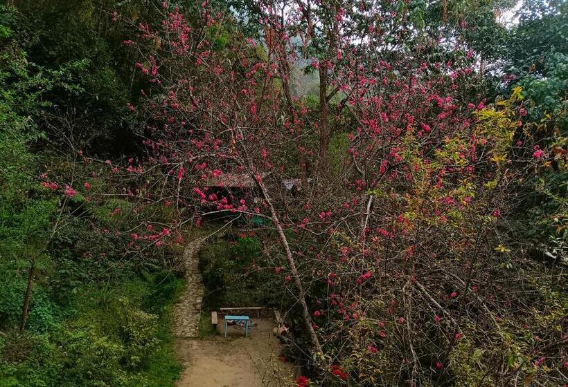 Hotel Tathagata Farm