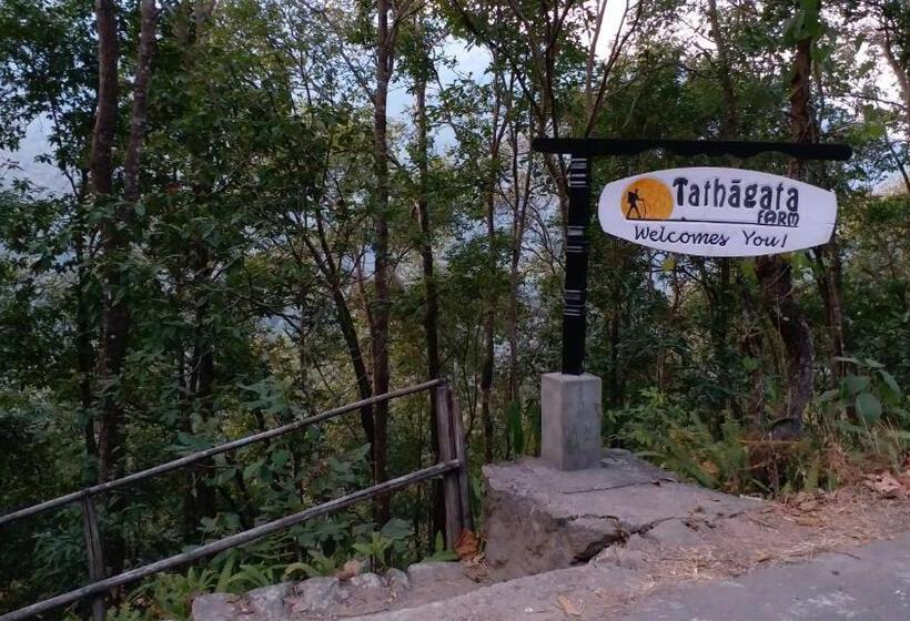 Hotel Tathagata Farm