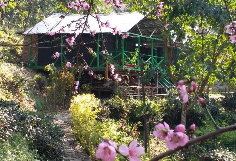 Hotel Tathagata Farm