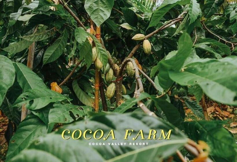 ホテル Cocoa Valley Resort