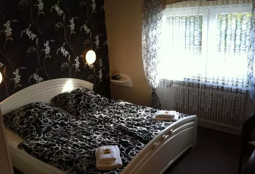 酒店 Alte Poststation