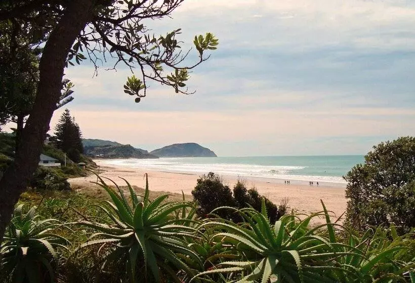 ホテル Ocean Beach Motor Lodge