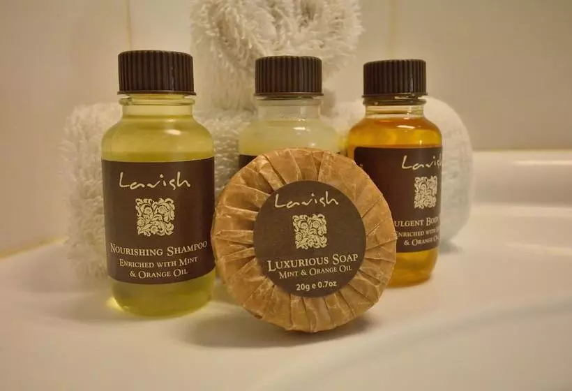 ホテル Ocean Beach Motor Lodge