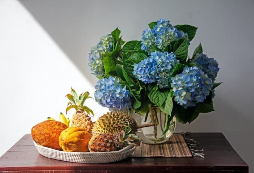 Отель La Montana