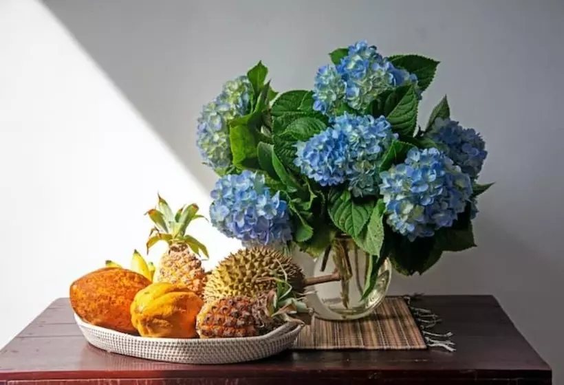 ホテル La Montana