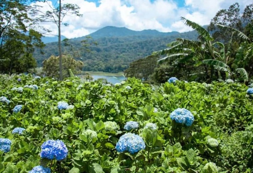 Отель La Montana