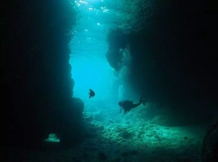 Marinx Classic Harborview Pension