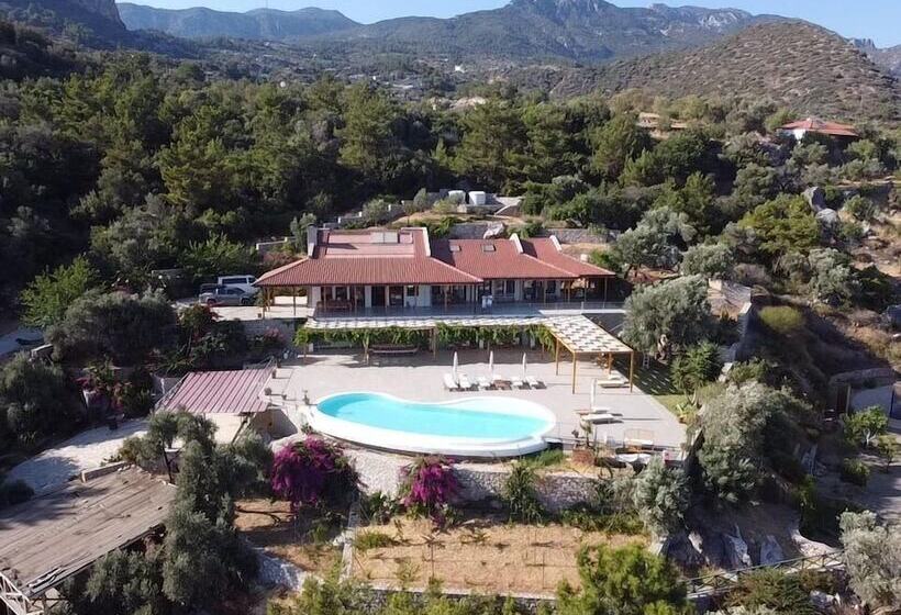 پانسیون Villa Mavie