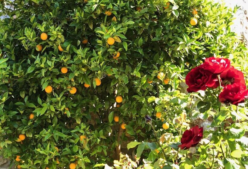 پانسیون Villa Mavie