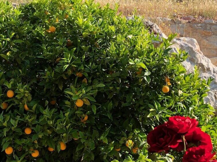 پانسیون Villa Mavie