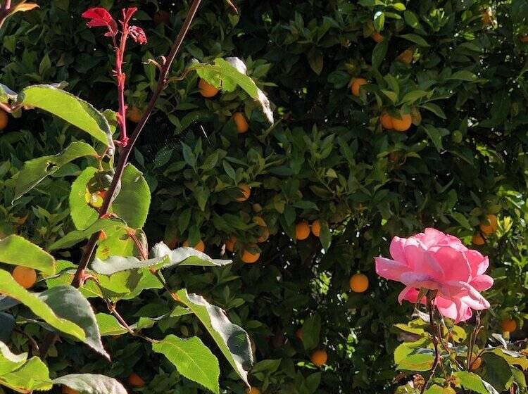 پانسیون Villa Mavie