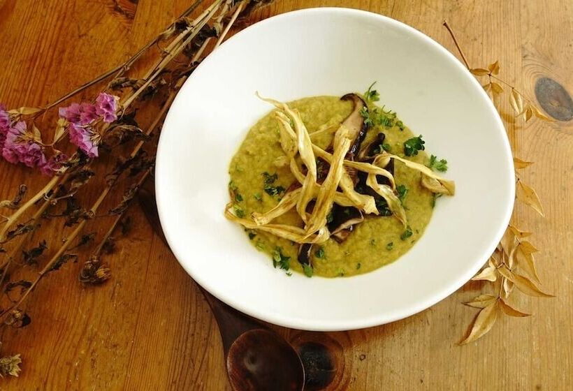 Pensió Japan Snowsports