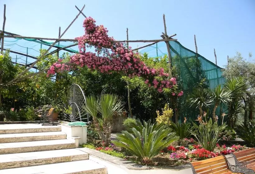 Bed and Breakfast Oasi Madre Della Pace