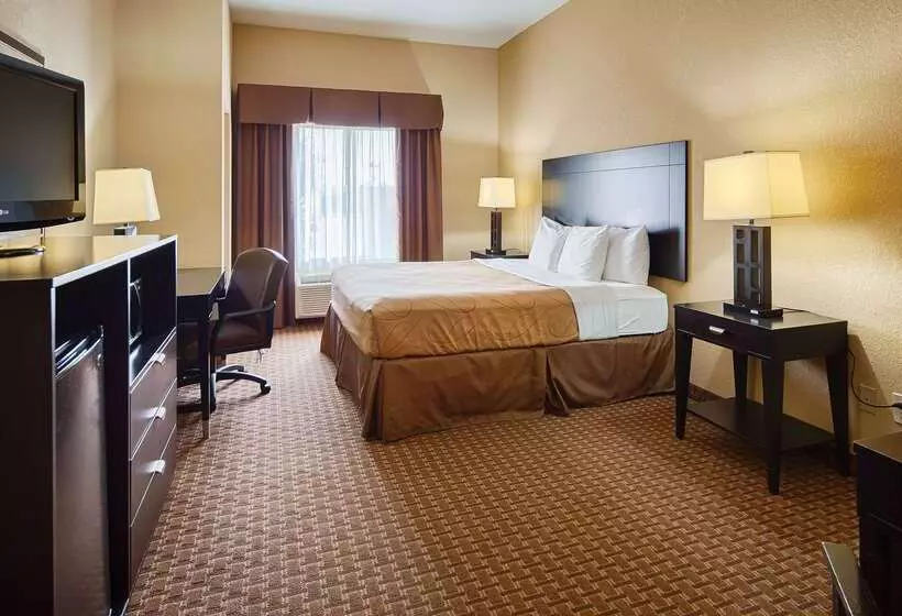 בית מלון כפרי Best Western Bastrop Pines Inn