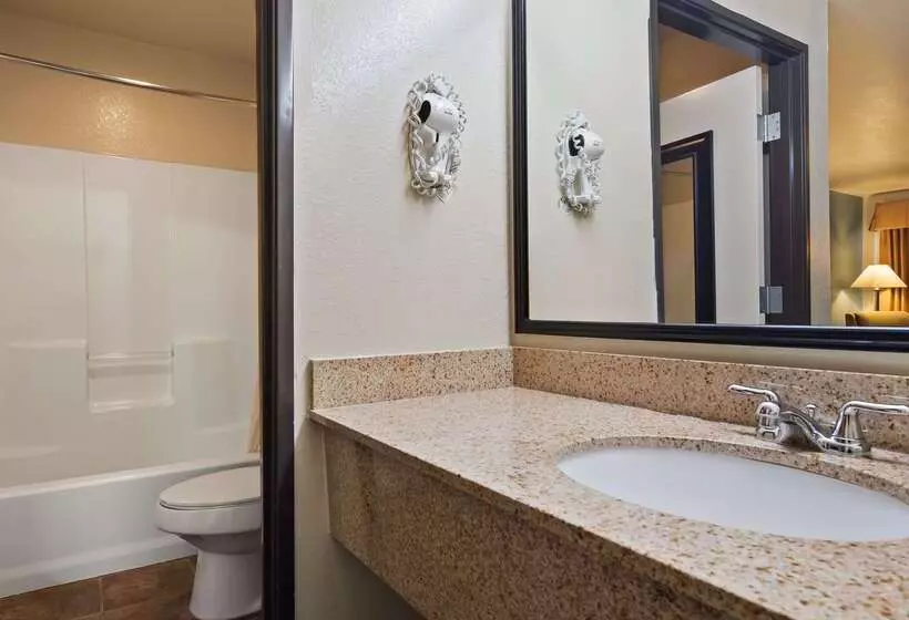 酒店 Best Western Regency Inn & Suites