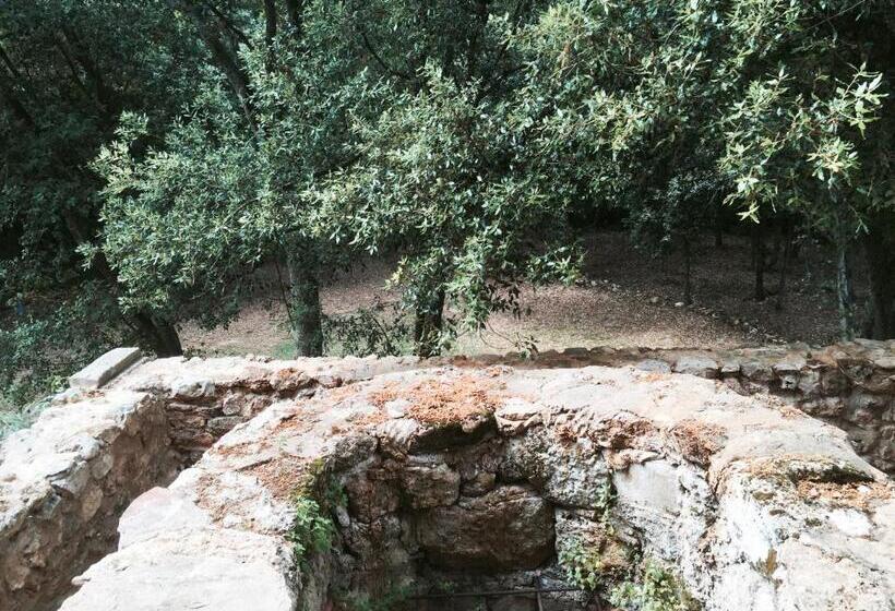 乡村酒店 Mas Pelegri