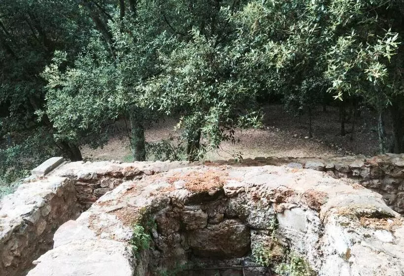 교외 호텔 Mas Pelegri