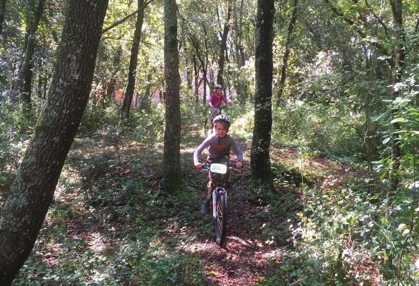 乡村酒店 Mas Pelegri