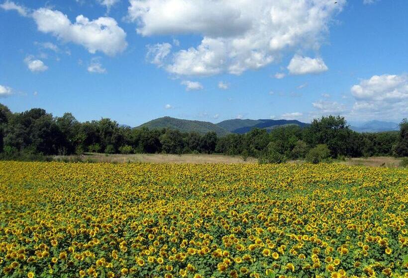 乡村酒店 Mas Pelegri