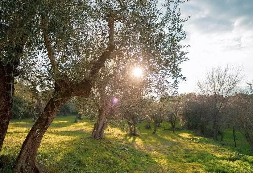 Ostello Del Bigallo   Bigallo Hostel
