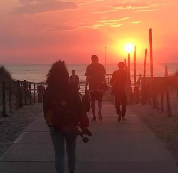 The Flying Pig Beach Hostel