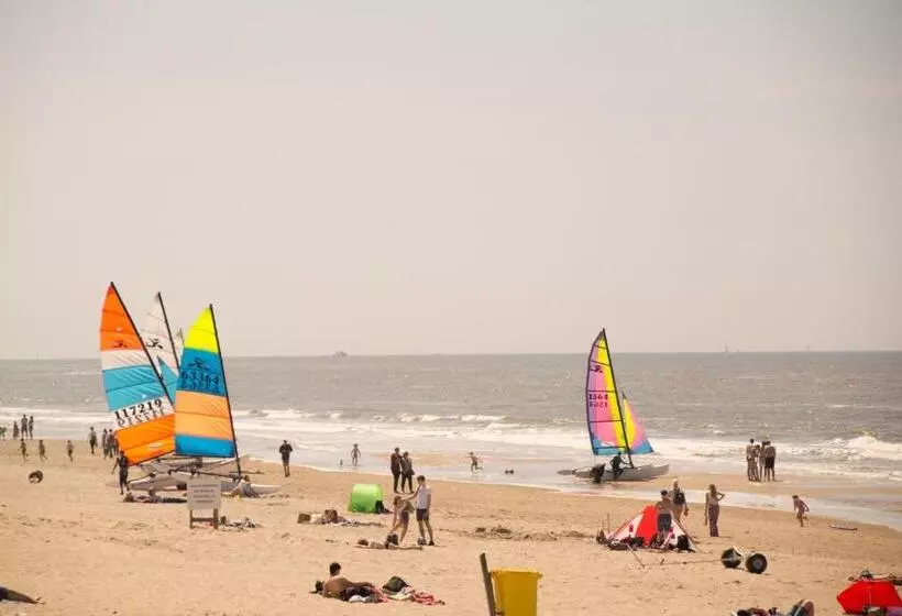 The Flying Pig Beach Hostel