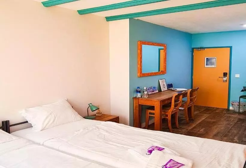The Flying Pig Beach Hostel