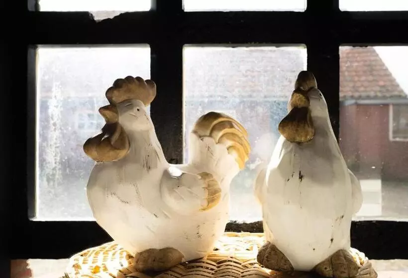 B&b Erve Groot Wegereef