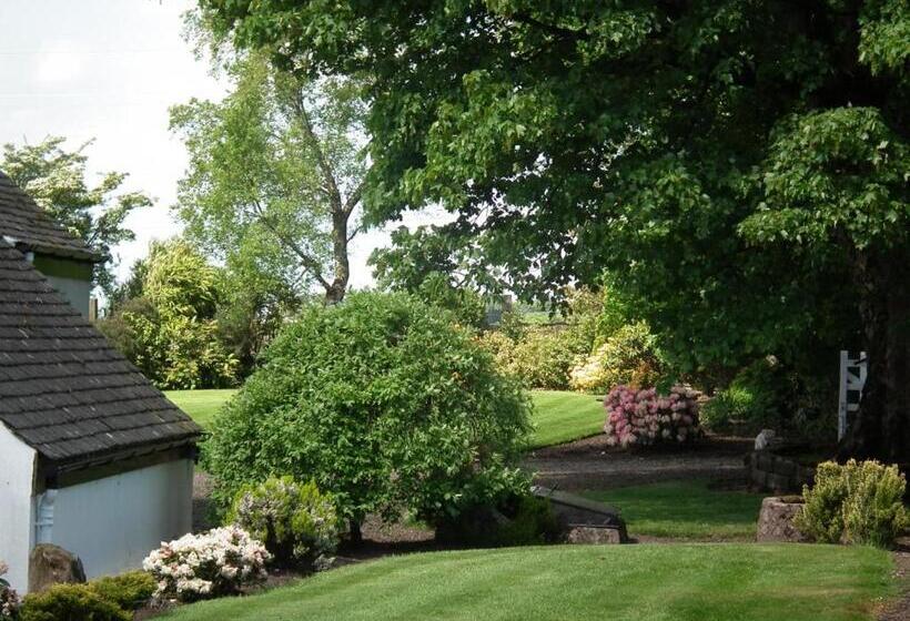 住宿加早餐  Whitehouse