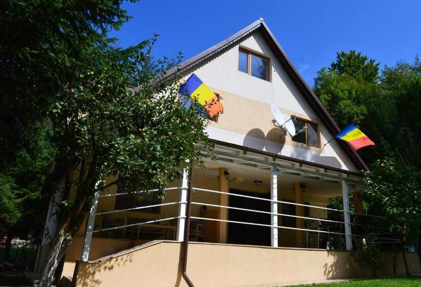 پانسیون Casa Aris Lepsa Vrancea