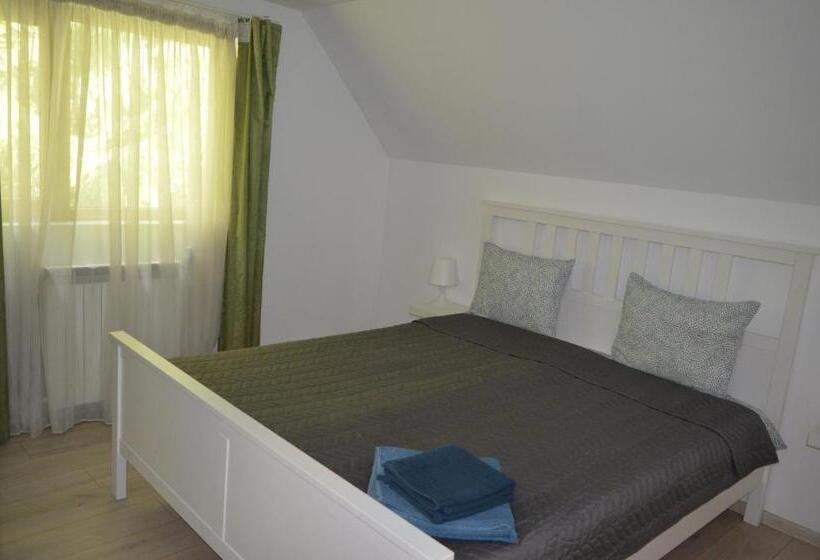 پانسیون Casa Aris Lepsa Vrancea