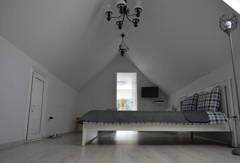 پانسیون Casa Aris Lepsa Vrancea