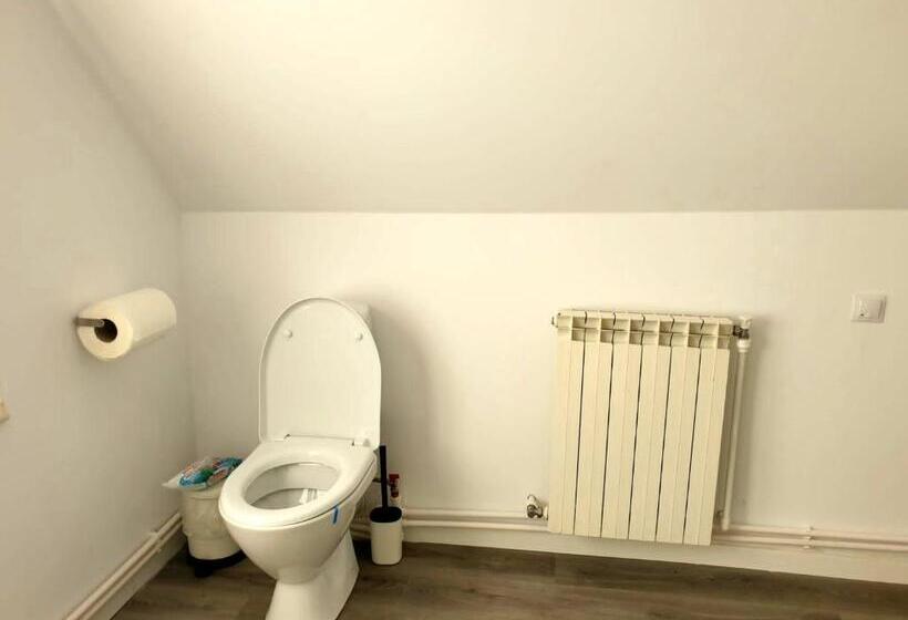 پانسیون Casa Aris Lepsa Vrancea