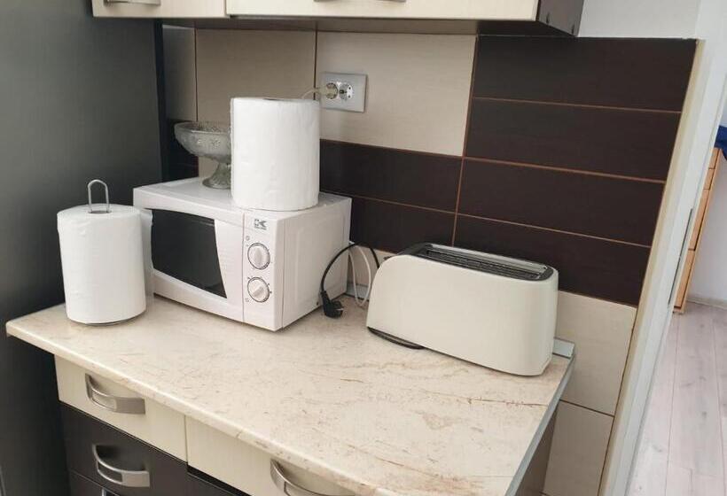 پانسیون Casa Aris Lepsa Vrancea