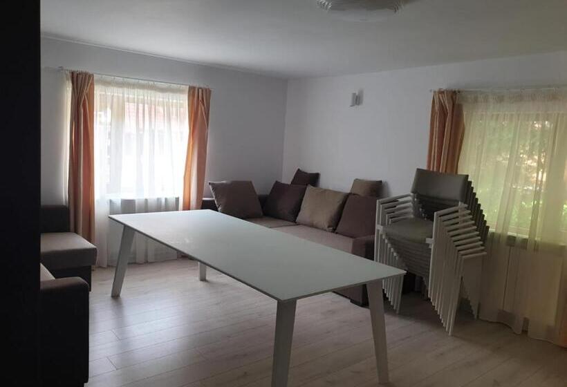 پانسیون Casa Aris Lepsa Vrancea