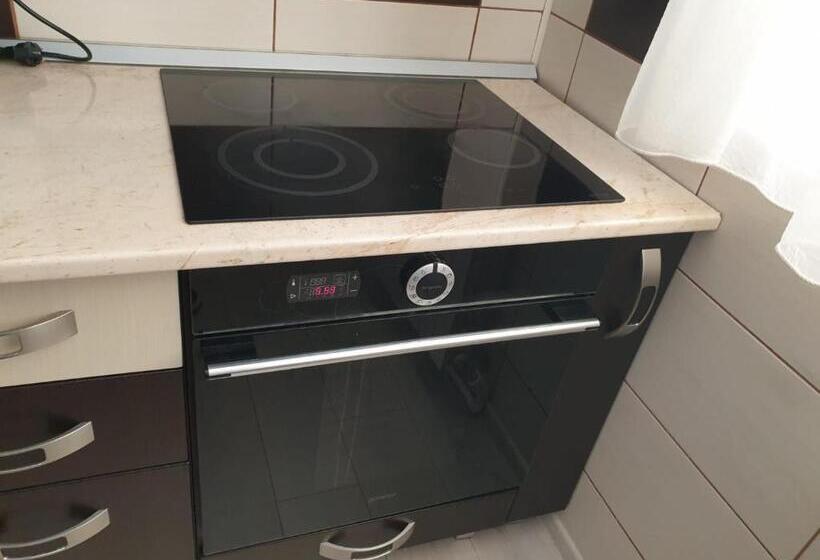 پانسیون Casa Aris Lepsa Vrancea