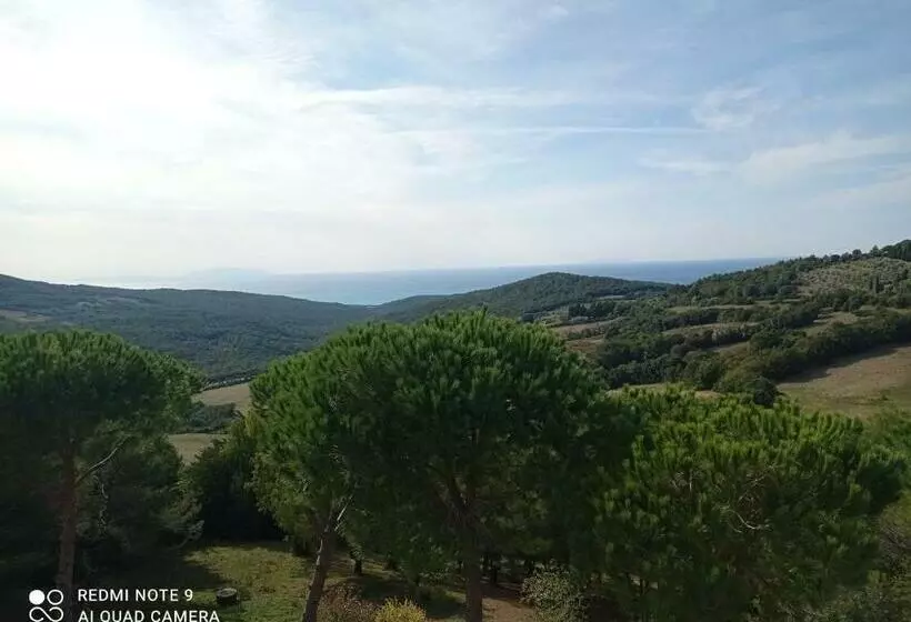 ペンション Vista Sulle Isole Dell Arcipelago Toscano