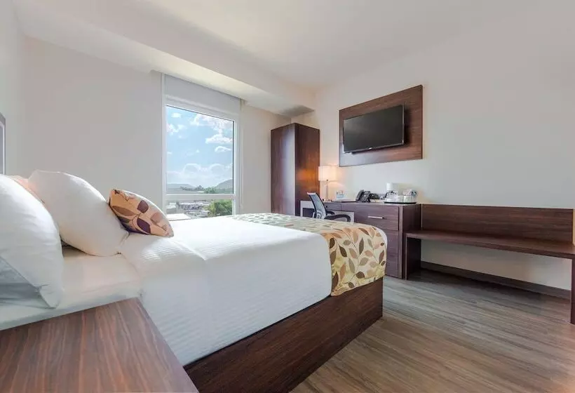 ホテル Sleep Inn Guadalajara Galerias