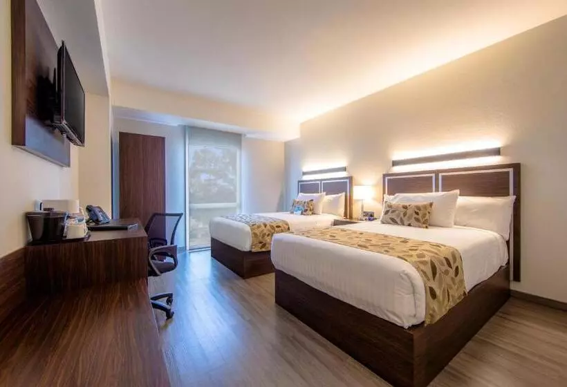 ホテル Sleep Inn Guadalajara Galerias