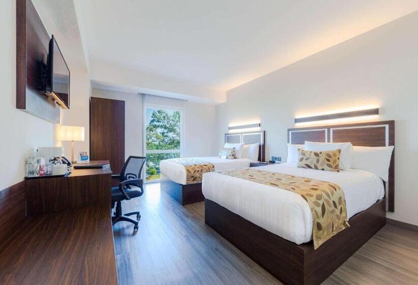 فندق Sleep Inn Guadalajara Galerias