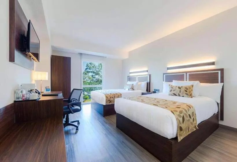 ホテル Sleep Inn Guadalajara Galerias