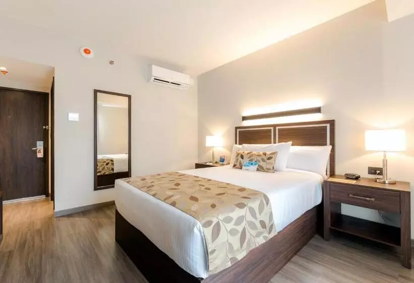 ホテル Sleep Inn Guadalajara Galerias