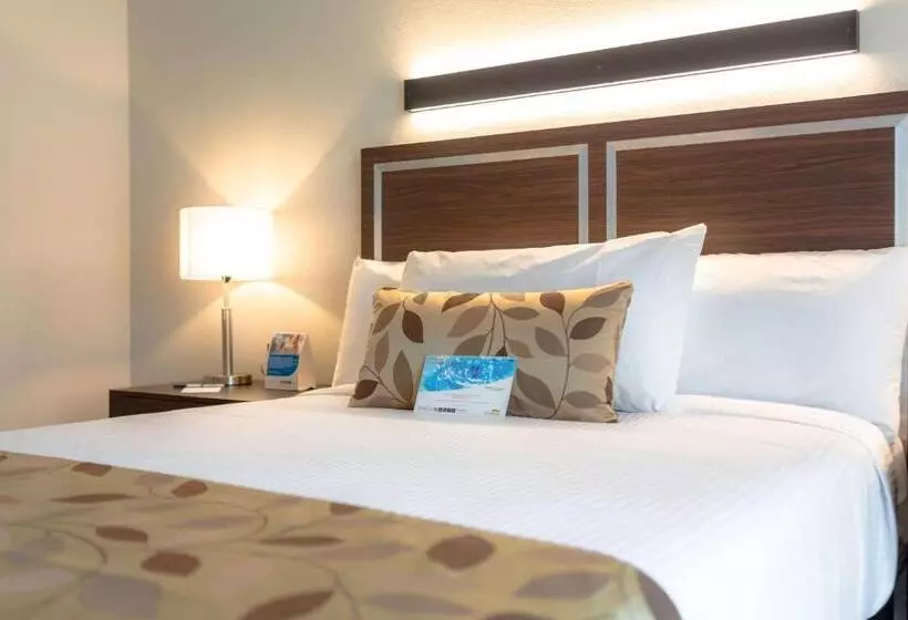 ホテル Sleep Inn Guadalajara Galerias